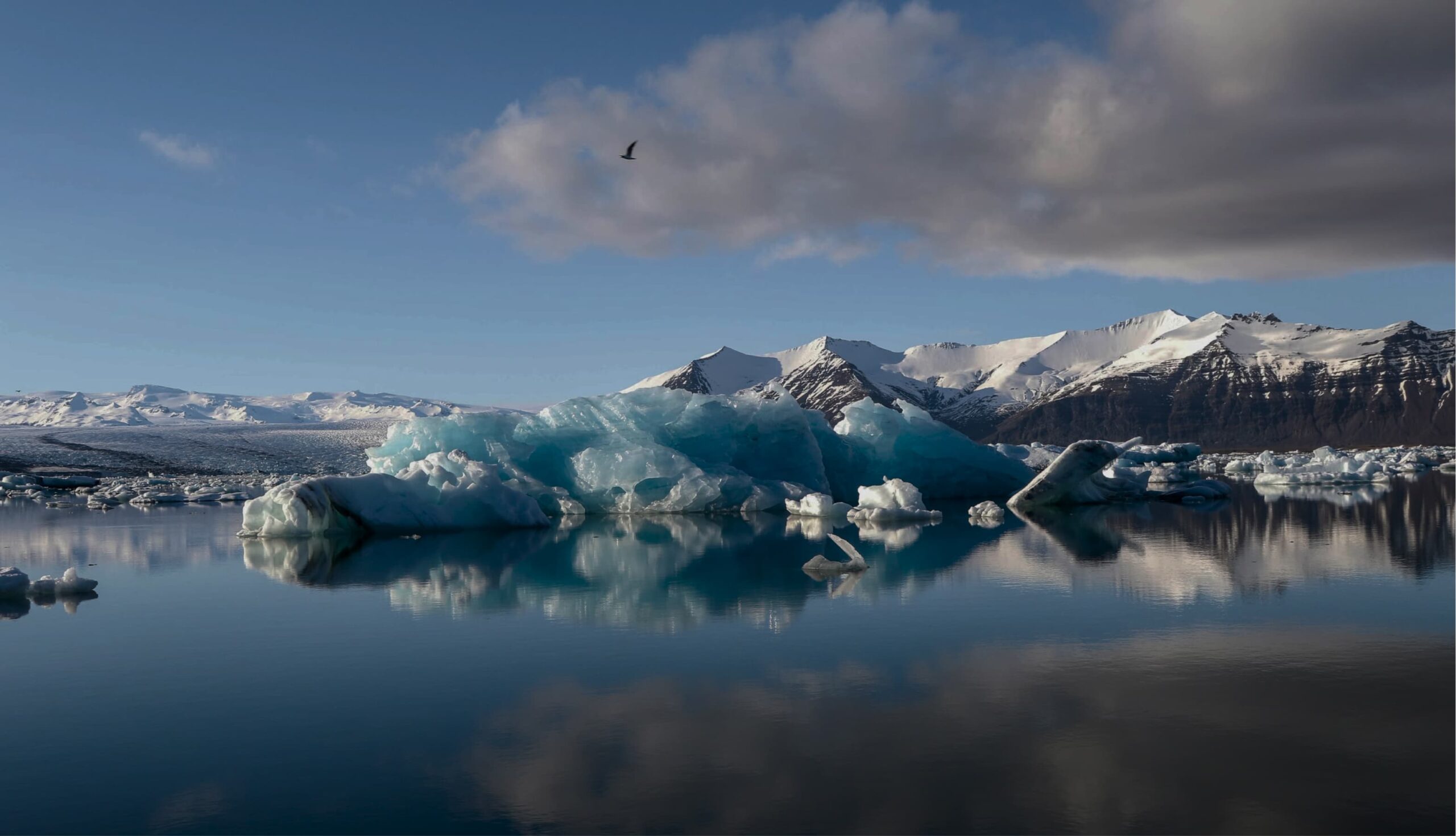 Iceberg